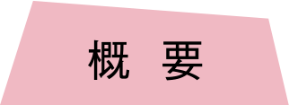 概要